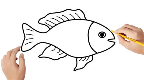 como desenhar um peixe-4
